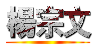 楊宗文 ()