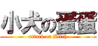 小犬の蛋蛋 (attack on Bitch)