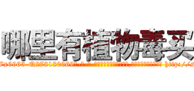 哪里有植物毒买 (哪里有植物毒买【电-186x2687x6963-Q278180069元-吉-药-业】我们做的是长期生意,靠的是老客户长期支持 http://sngk.net/3L3yHv
)