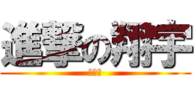 進撃の翔宇 (婊子歐)