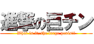 進撃の巨チン (What is it, the large penis!?)