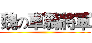 魏の車騎將軍 ()
