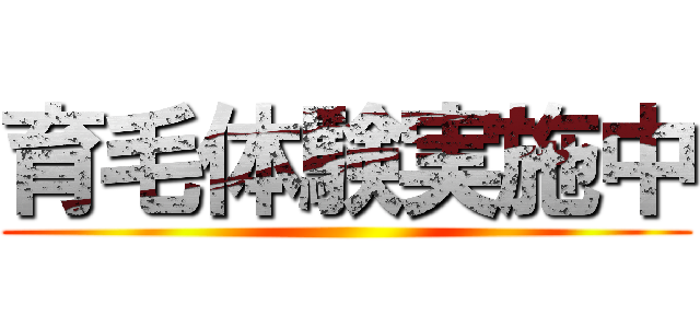 育毛体験実施中 ()