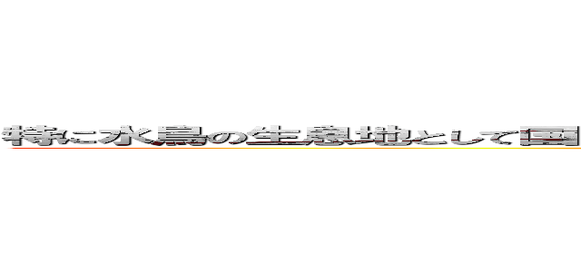 特に水鳥の生息地として国際的に重要な生息地に関する条約（ラムサール条約） (合法痴漢けいと)