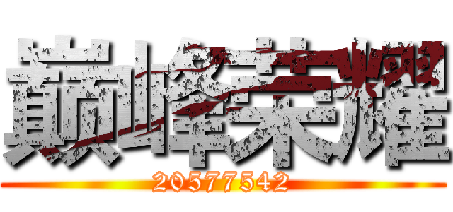 巅峰荣耀 (20577542)