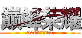 巅峰荣耀 (20577542)