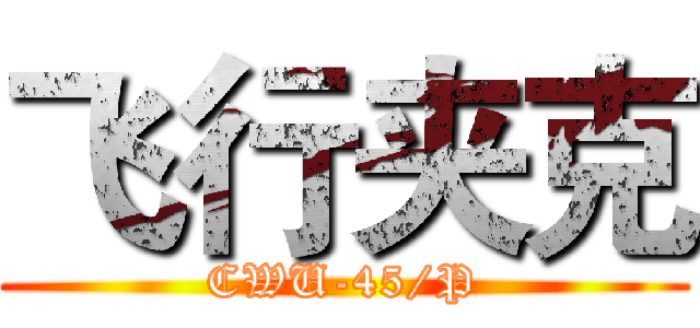 飞行夹克 (CWU-45/P)