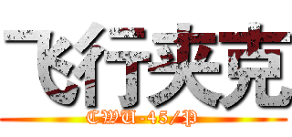 飞行夹克 (CWU-45/P)