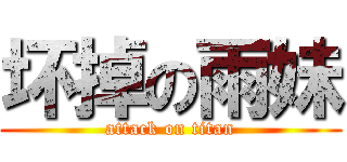 坏掉の雨妹 (attack on titan)