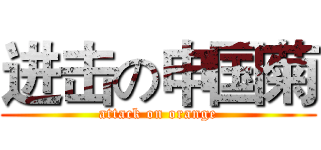 进击の申国菊 (attack on orange)