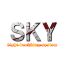 ＳＫＹ (flight bookking system)