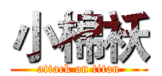 小棉袄 (attack on titan)