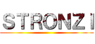 ＳＴＲＯＮＺＩ ()