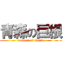 青森の巨根 (aomori of tintin)