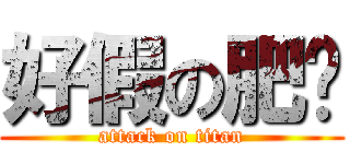 好假の肥佬 (attack on titan)