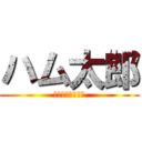 ハム太郎 (とっとこハム太郎)