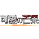 可愛の芒果 (attack on titan)