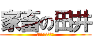 家畜の田井 (キム・ジョンウン)