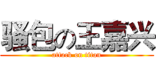 骚包の王嘉兴 (attack on titan)
