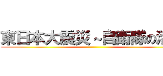 東日本大震災～自衛隊の活動 ()