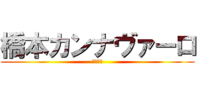 橋本カンナヴァーロ (ハゲです)