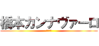 橋本カンナヴァーロ (ハゲです)