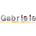 Ｇａｂｒｉｅｌｅ (18)