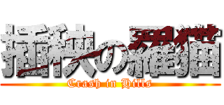 插秧の羅猫 (Crash in Hills)