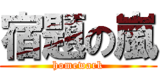 宿題の嵐 (homewark)