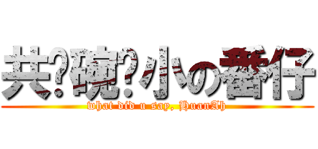 共啥碗粿小の番仔 (what did u say, HuanAh)