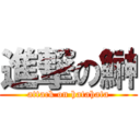 進撃の鰰 (attack on hatahata)