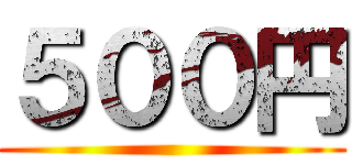 ５００円 ( )