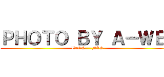 ＰＨＯＴＯ ＢＹ Ａ－ＷＥＩ (IRON     MAN)