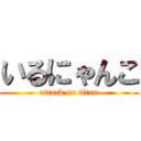 いるにゃんこ (attack on titan)