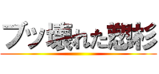 ブッ壊れた愬杉 ()