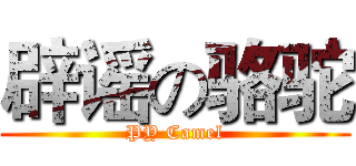 辟谣の骆驼 (PY Camel)