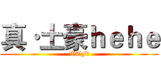 真·土豪ｈｅｈｅ (WTF?)