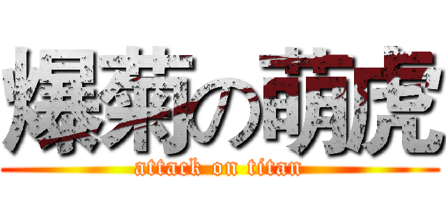 爆菊の萌虎 (attack on titan)