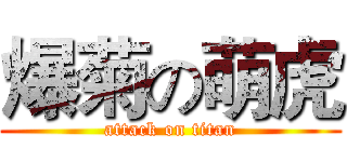 爆菊の萌虎 (attack on titan)