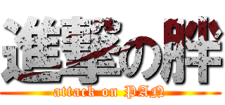 進撃の胖 (attack on PAN)