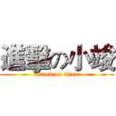 進擊の小竣 (attack on titan)