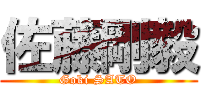 佐藤剛毅 (Goki SATO)