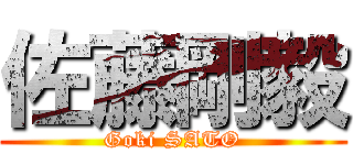 佐藤剛毅 (Goki SATO)