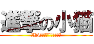 進撃の小猫 (【KT空岛生存】系列地图)