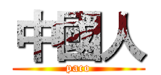 中國人 (paco)