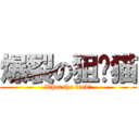 爆裂の狙擊猫 (What the fuck?)