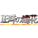 正咩の暐花 (attack on titan)