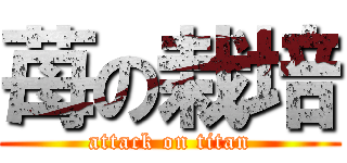苺の栽培 (attack on titan)
