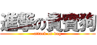 進撃の貴賓狗 (attack on dog)