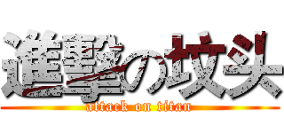 進擊の坟头 (attack on titan)